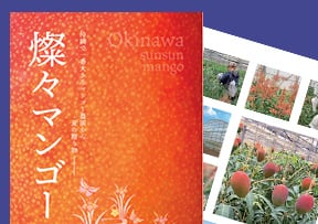 家庭用 沖縄 燦々マンゴー【公式通販2023】 ｜産地直送・送料無料