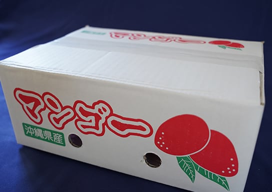 良 沖縄 燦々マンゴー【公式通販2023】 ｜産地直送・送料無料